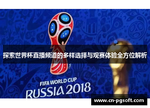 探索世界杯直播频道的多样选择与观赛体验全方位解析